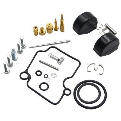 Kit Revisione Completo Carburatore Yamaha YBR 125 JYM YBR120 Mikuni VM22 VM20