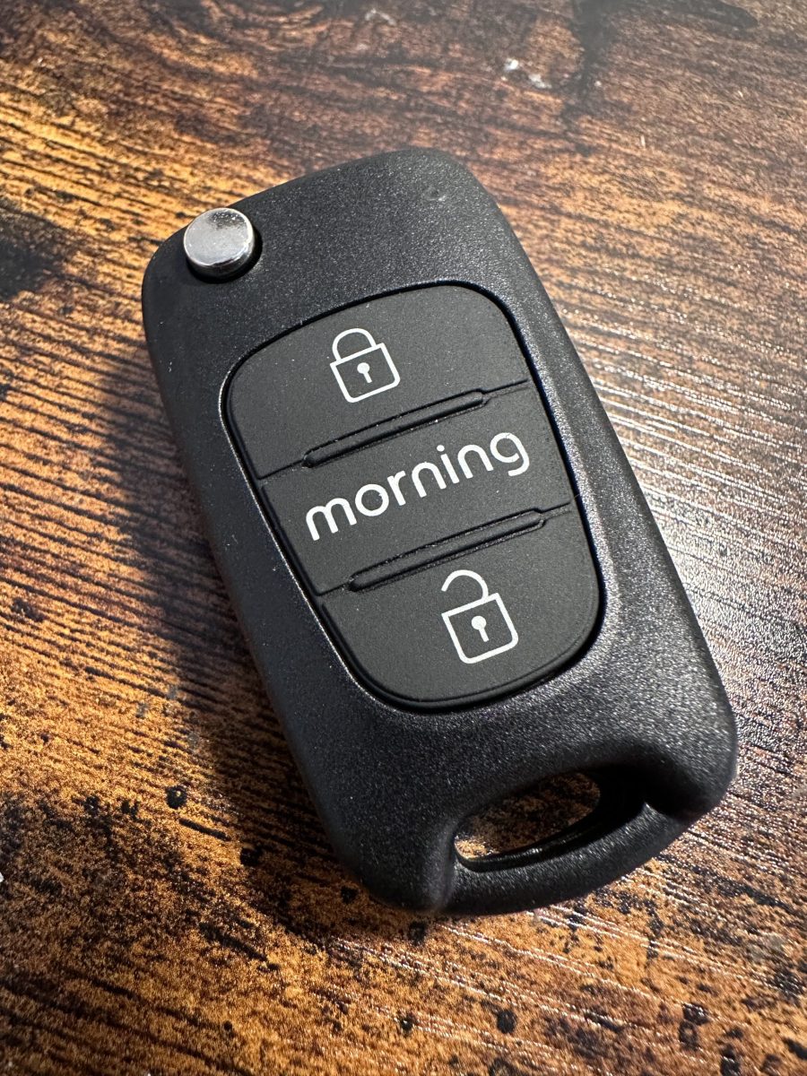 Guscio chiave 2 Tasti Kia Picanto Morning Logo