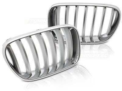 Griglia Cromato Titan per BMW X3 F25 (10/2010-07/2014) Sportiva