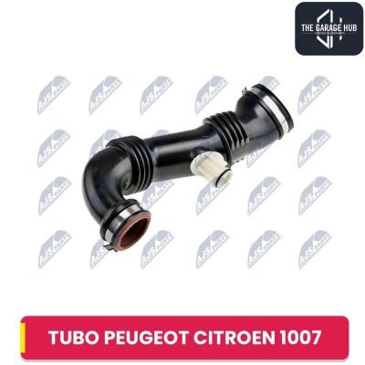 Tubo, Flessibile D'aspirazione Filtro Aria per Peugeot Citroen 1007 206 207 3008