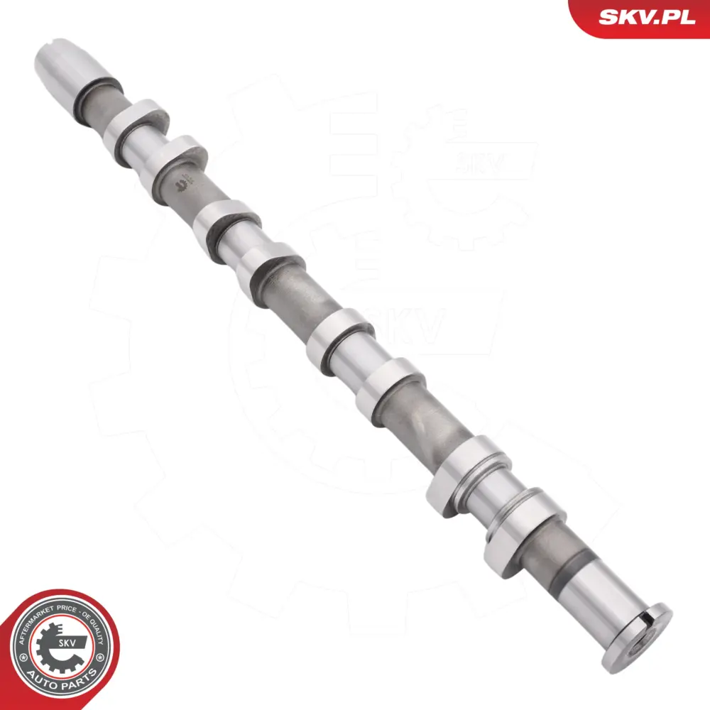 Albero a camme per Audi A4 B7 (8EC) A4 B7 Avant (8ED) A3 (8P1) 06F109102B