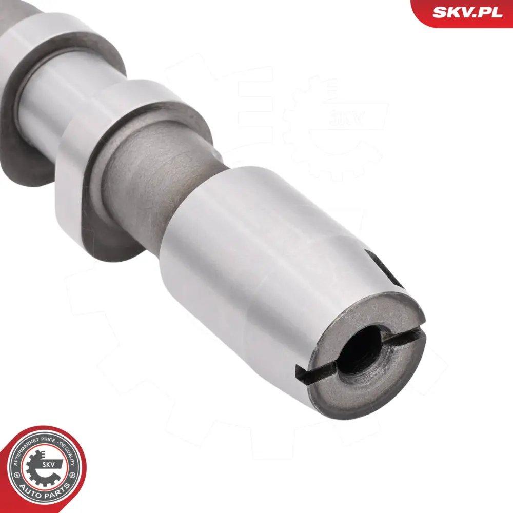 Albero a camme per Audi A4 B7 (8EC) A4 B7 Avant (8ED) A3 (8P1) 06F109102B
