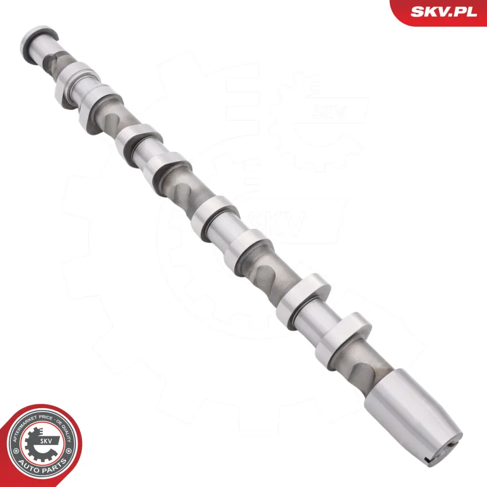 Albero a camme per Audi A4 B7 (8EC) A4 B7 Avant (8ED) A3 (8P1) 06F109102B