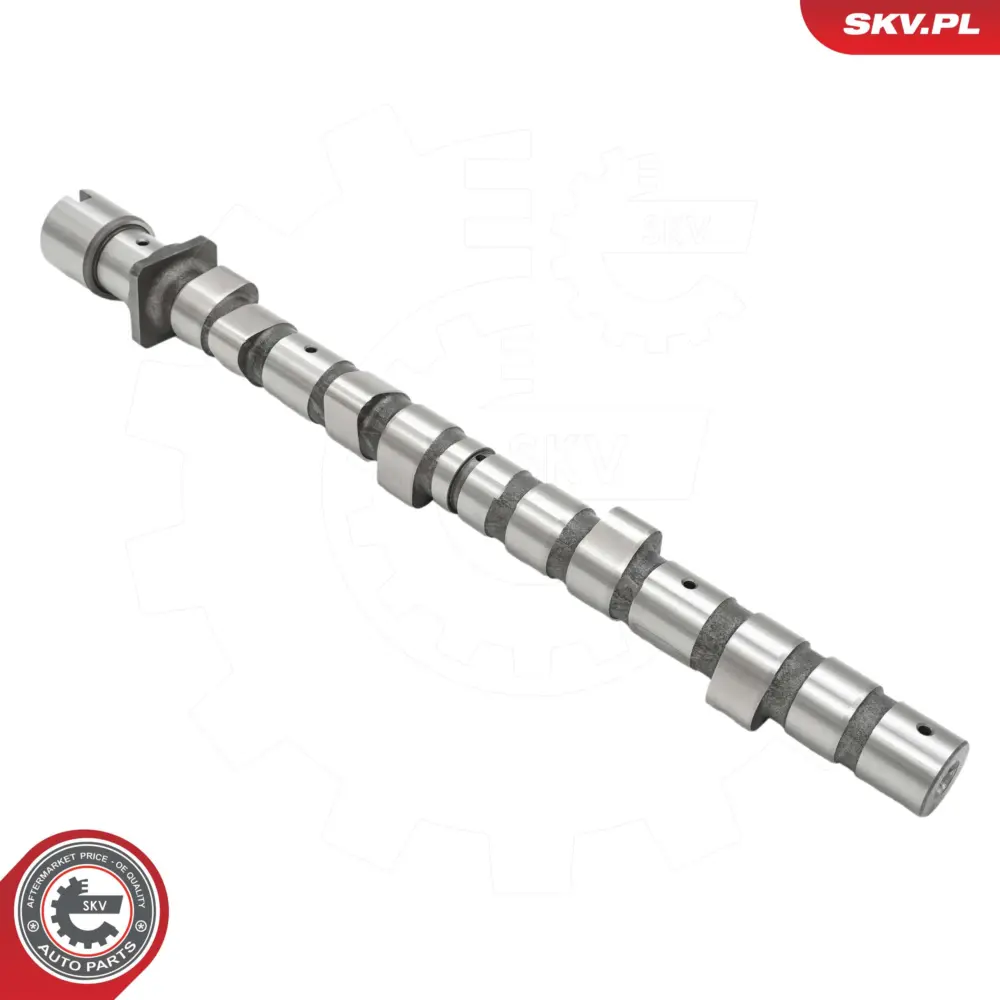 Albero a camme per BMW Serie 3 (E30 E36) 5 (E34) 11311709580