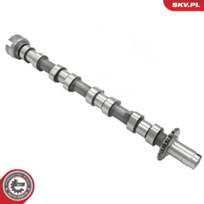 Albero a camme per Citroën C5 III Break C5 II Break C5 II C5 III C6 C8 0801.FZ
