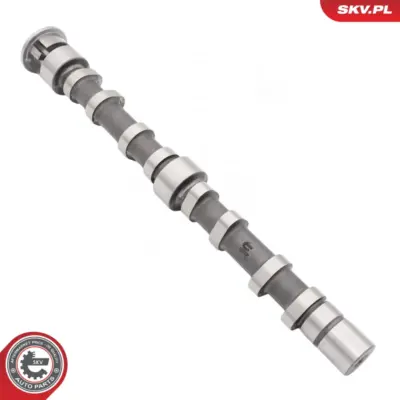 Albero a camme per VW EOS (1F7) Golf Plus V (5M1) Golf V (1K1) 03C 109 101 DD