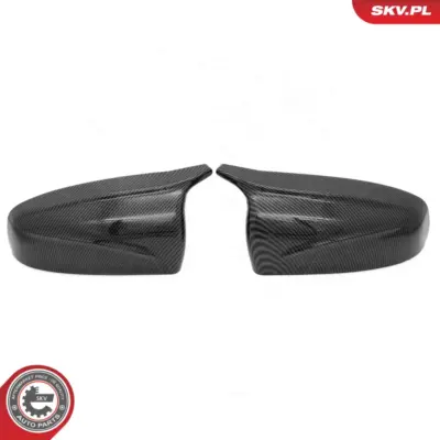 Alloggiamento dello specchio per BMW X5 (E70) X6 (E71 E72) 51162182697
