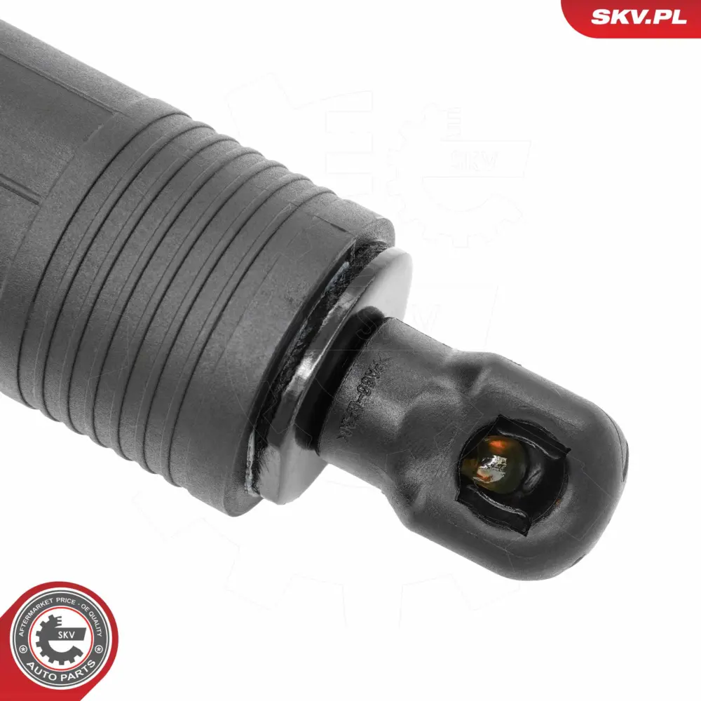 Ammortizatore pneumatico, Cofano bagagli 253 890 06 00