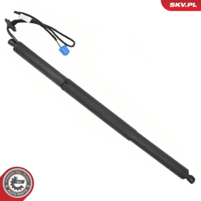 Ammortizatore pneumatico, Cofano bagagli 253 890 06 00