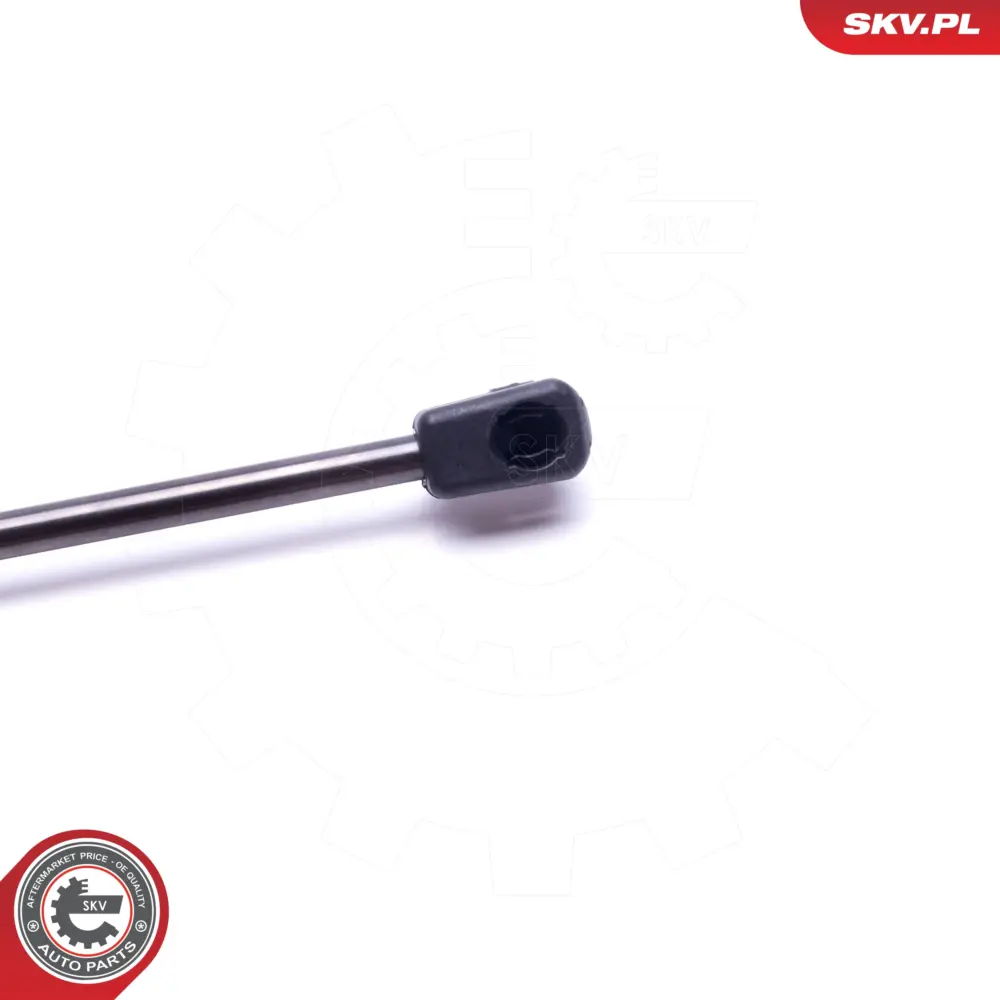 Ammortizatore pneumatico, Cofano bagagli per Peugeot 206 CC (2D) 8731F2