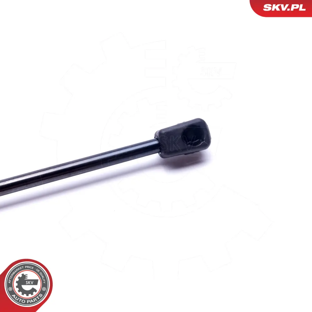 Ammortizzatore pneumatico, Cofano motore 2158800029