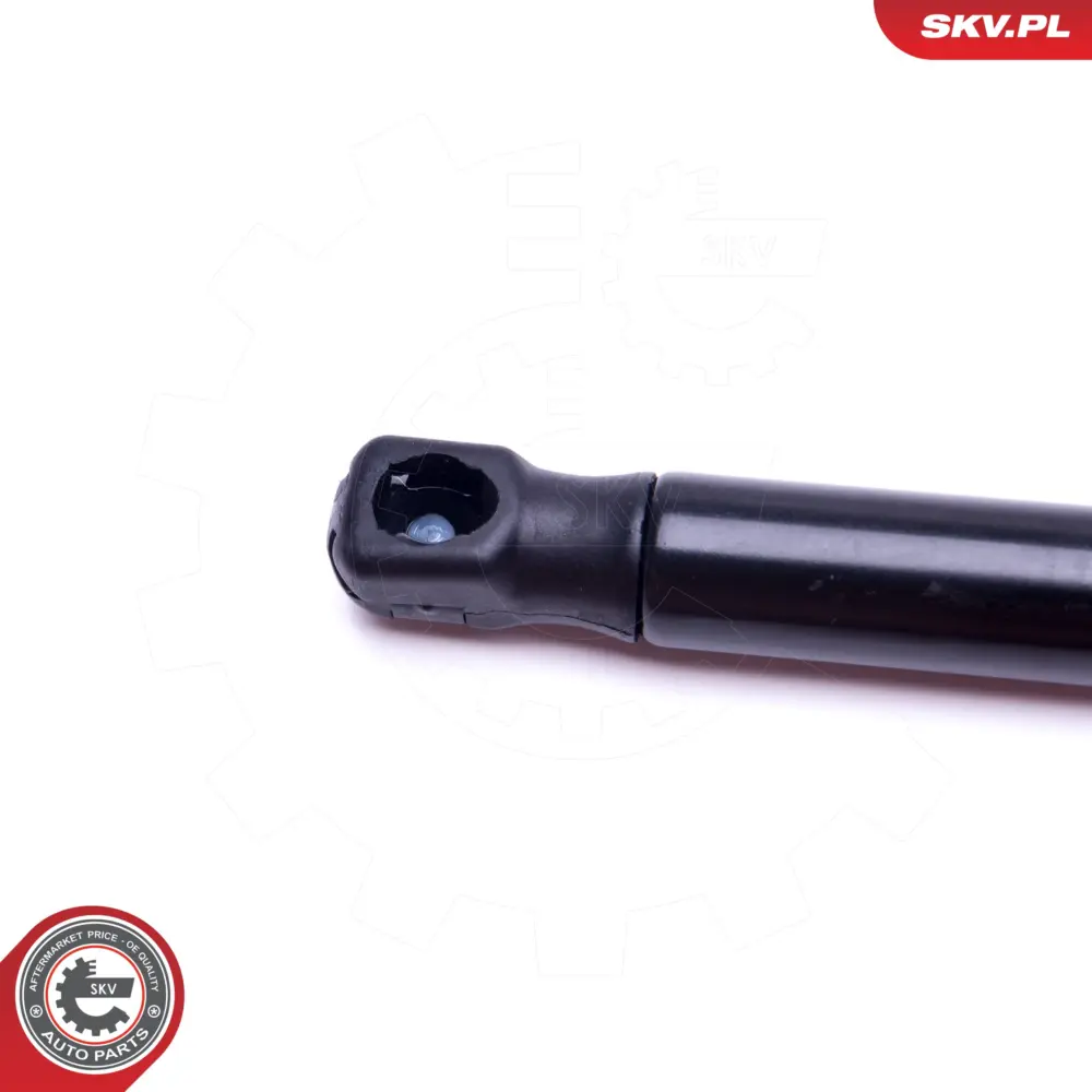 Ammortizzatore pneumatico, Cofano motore per Opel Insignia A (G09) 1180016