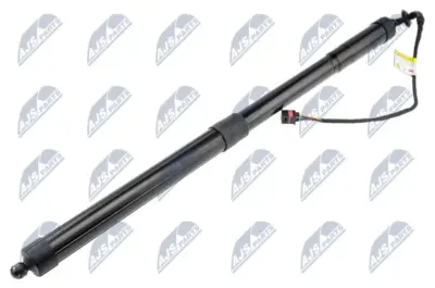 Ammortizzatore Portellone Posteriore Sinistro e Destro per Porsche Cayenne 2010