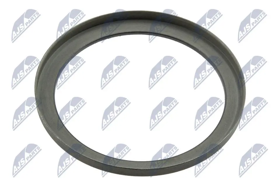Anello ABS Magnetico Posteriore per Renault Laguna Ii Scenic 03- Espace 02- Vel