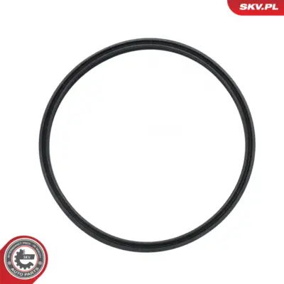 Anello di tenuta per BMW Serie 1 (E88 E82) 3 (E93) 5 (E60) 2 (F45) 11617796622