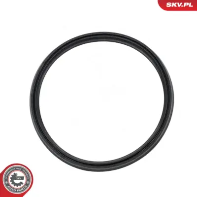 Anello di tenuta per BMW Serie 3 (E93 E92) 5 (E60) 1 (E88) 4 (F33) 11617801971
