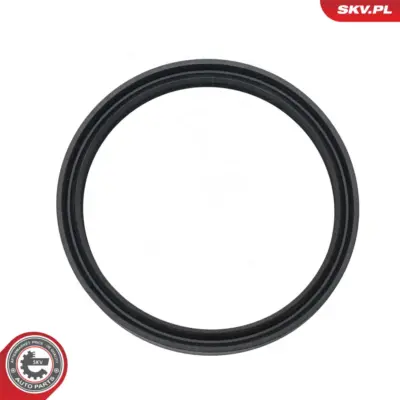 Anello di tenuta per BMW Serie 5 (E60 E61) 3 (E46) X3 (E83) X5 (E53) 11617790547