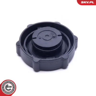 Anello Di Tenuta, Tappo Di Chiusura, Servopompa per Ford Focus I (DAW) 1341300