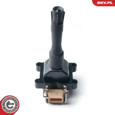Bobina di accensione per BMW Serie 3 (E36) 5 (E34) 7 (E32) 8 (E31) 12131317232