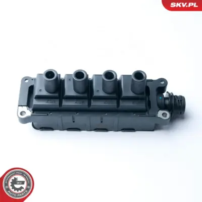 Bobina di accensione per BMW Serie 3 (E36 E46) 5 (E34) Z3 (E36) 12131247281