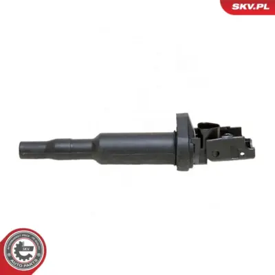 Bobina di accensione per BMW Serie 3 (E46 E93) 1 (E88) 5 (E39) 6 (E64) 0 148 594