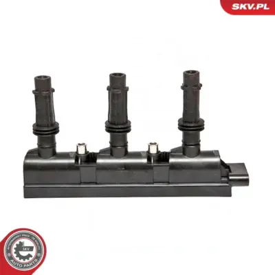 Bobina di accensione per Opel Corsa D Hatchback Van (S07) Corsa D (S07) 1208091