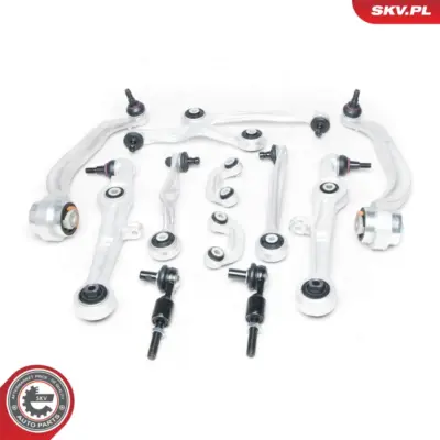 Braccio oscillante - kit 12 elementi per Audi A4 B7 (8EC) A4 B6 (8E2) 4B0419811B