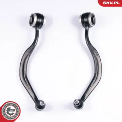 Braccio oscillante - kit anteriore Sx/Dx 2 elementi 1141721