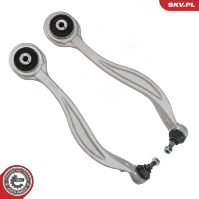 Braccio oscillante - kit anteriore Sx/Dx A2043308111 + A2043308211 2043308111