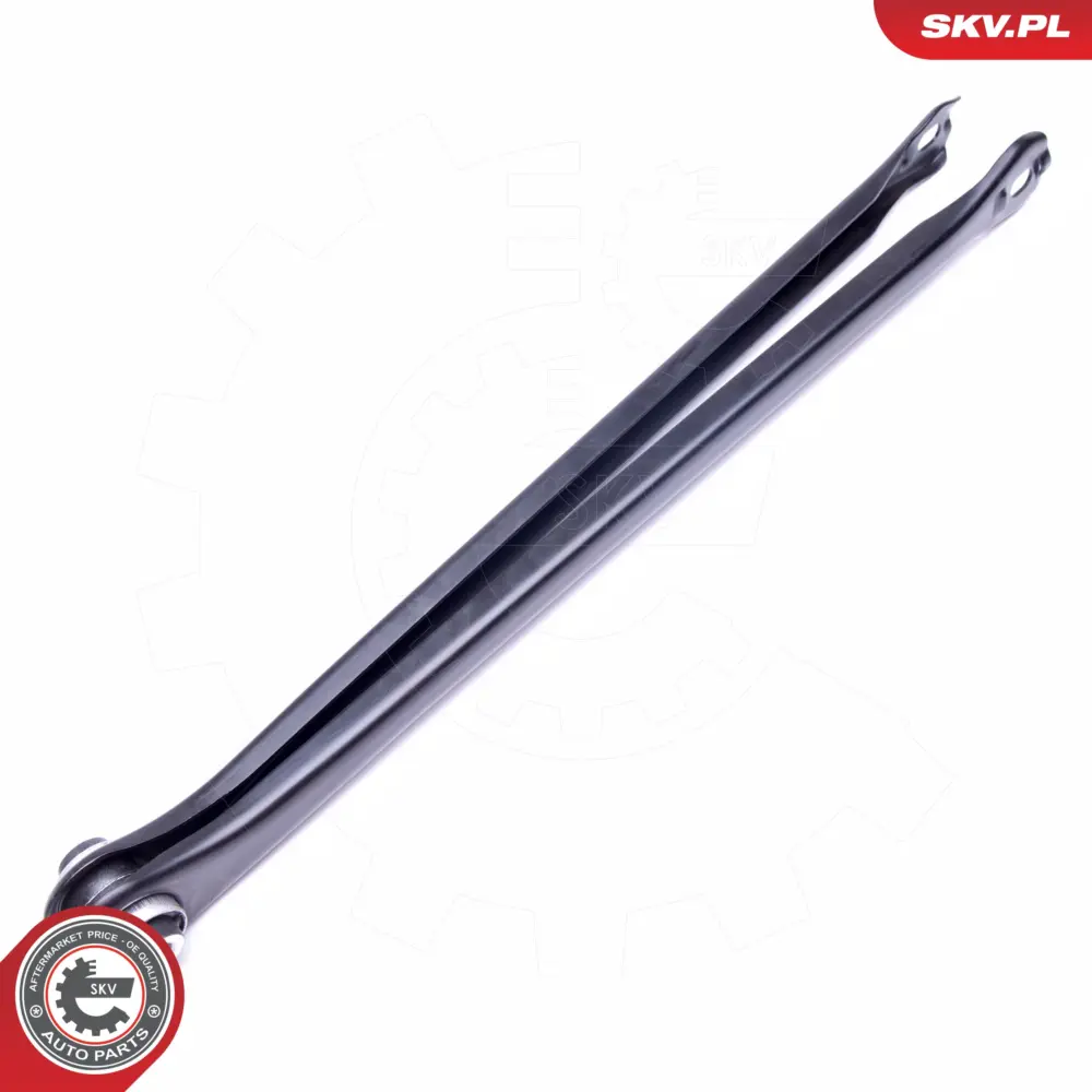 Braccio oscillante posteriore Sx/Dx per BMW Serie 3 (E46 E36) 1092237