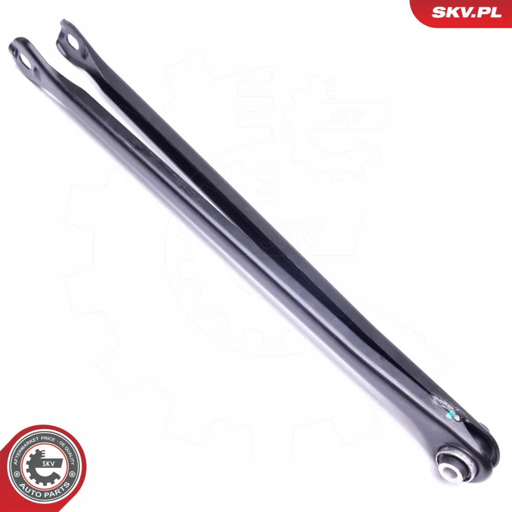 Braccio oscillante posteriore Sx/Dx per BMW Serie 3 (E46 E36) 1092237