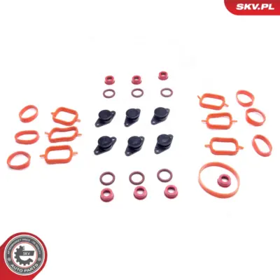 Collettore aspirazione di riparazione BMW E39 E60 E46 E53 E90 E65 M57