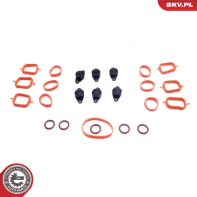 Collettore aspirazione di riparazione BMW E39 E60 E46 E53 E90 E83 M57
