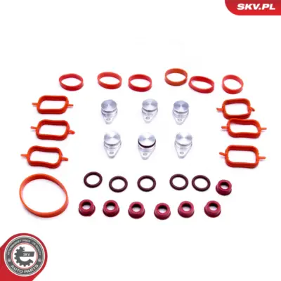 Collettore aspirazione di riparazione BMW E39 E60 E65 E46 E53 M57