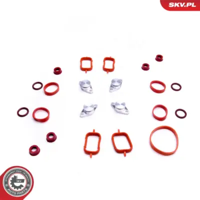 Collettore aspirazione di riparazione BMW E46 X3 E83 E60 E90 M47 M47N