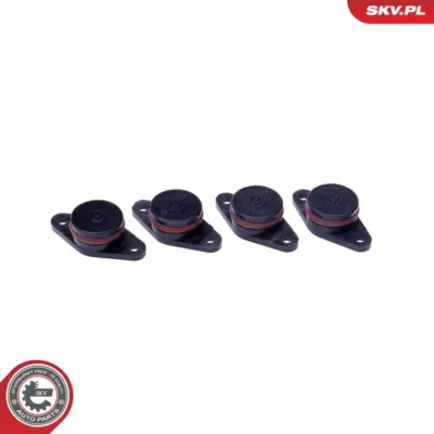 Collettore aspirazione di riparazione per BMW Serie 3 (E46 E90) 5 (E60) X3 (E83)