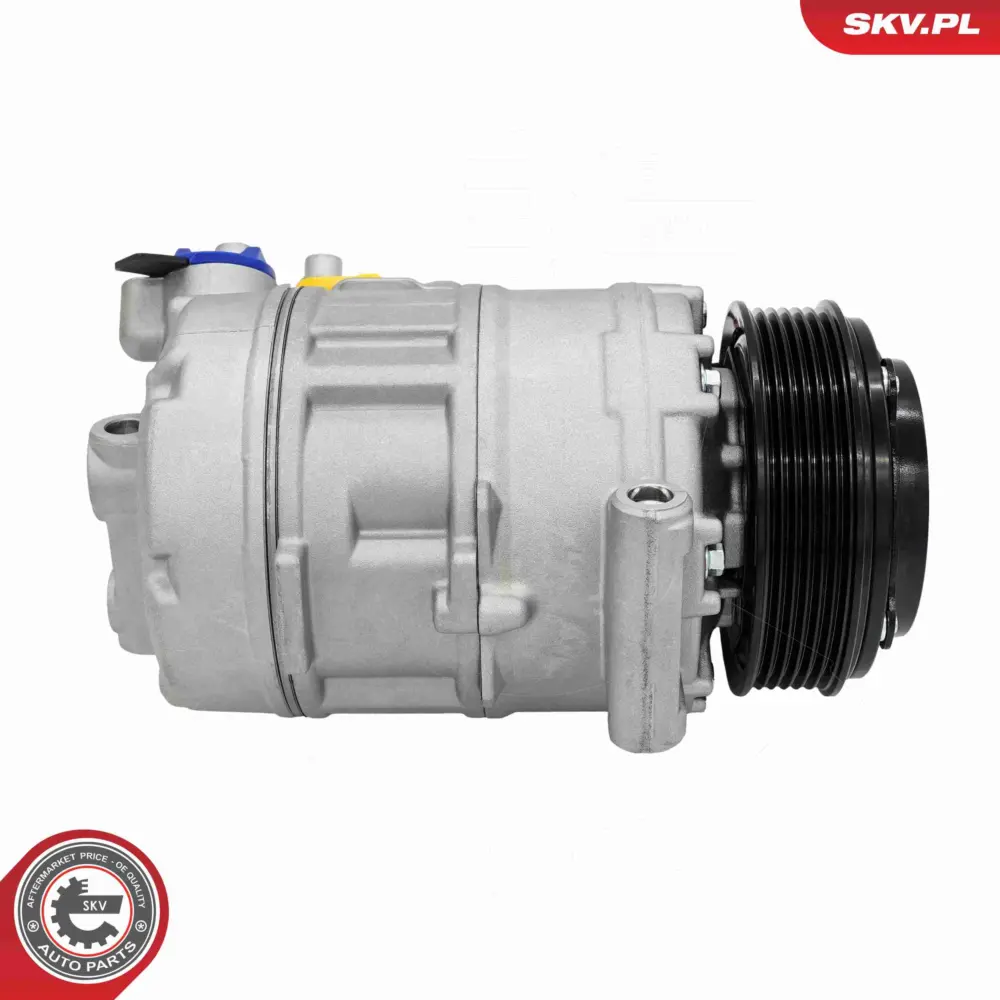 Compressore aria condizionata per BMW Serie 3 (E93) 5 (E60) 1 (E88) 64509180549