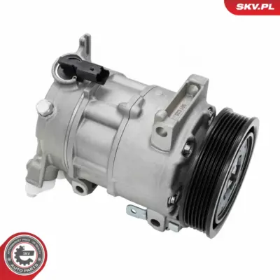 Compressore aria condizionata per Citroën DS4 C4 II C4 Cactus DS3 DS5 1606467480