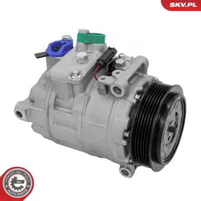 Compressore aria condizionata per Mercedes Classe A (W169) 0012303511