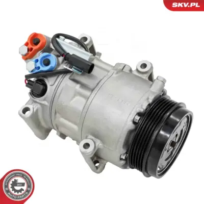 Compressore aria condizionata per Mercedes Classe A (W169) 0012303611
