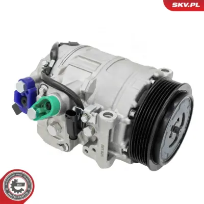 Compressore aria condizionata per Mercedes Classe E (W211) CLS (C219) 0012305411