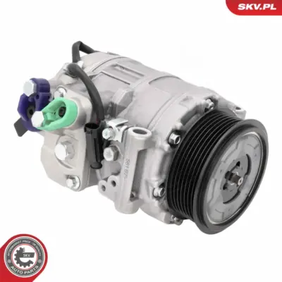 Compressore aria condizionata per Mercedes Classe S (W220) CLS (C219) 0002309211