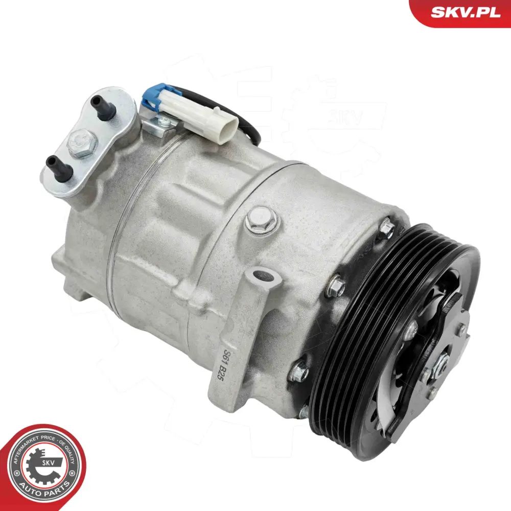 Compressore aria condizionata per Opel Insignia A (G09) Astra J (P10) 13250607