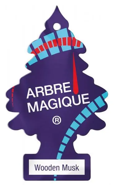Confezione 24 deodoranti auto profumo muschio legno aromatizzatori ambienti