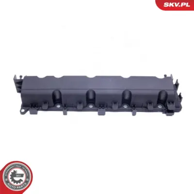 Coperchi valvole per Citroën C5 III (RD_) C5 II (RC_) C4 I (LC_) C8 (EA_) 0248N2