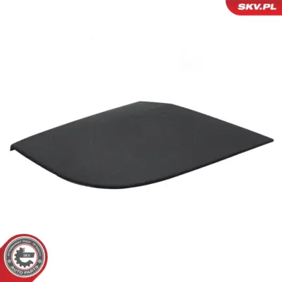 Copertura del pannello del parabrezza 1698300275