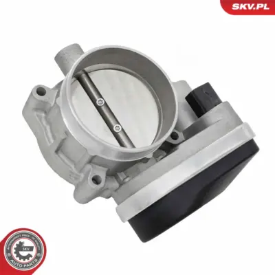 Corpo farfallato per Dodge RAM 1500 Pickup (D1 DC DH DM DR) 5303 2801 AC