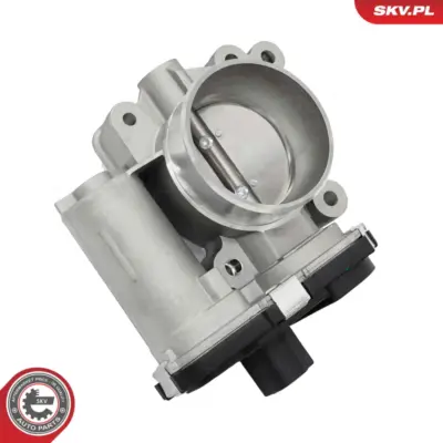 Corpo farfallato per Opel Insignia A (G09) Insignia A Saloon (G09) 12607205