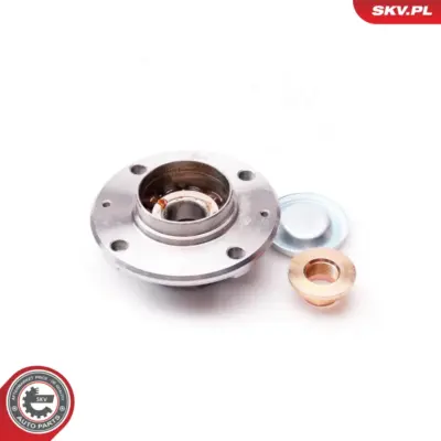 Cuscinetto del mozzo della ruota posteriore per Peugeot 307 (3A C) 3748.74