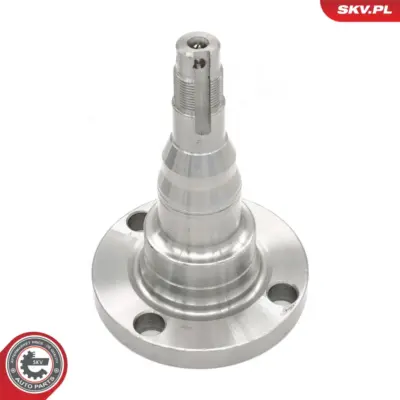 Cuscinetto del mozzo della ruota posteriore per VW Scirocco (53) 305 501 117 1